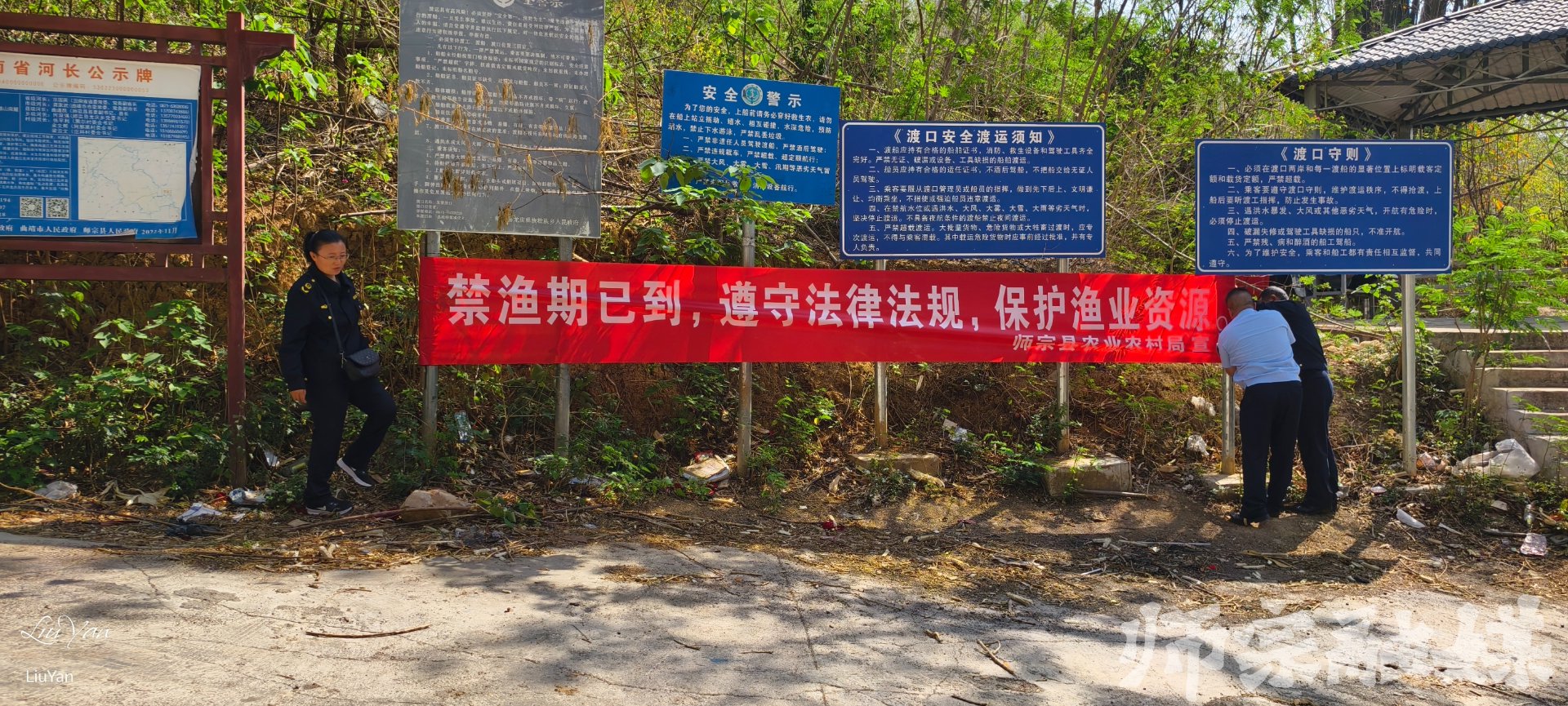 东方红种苗